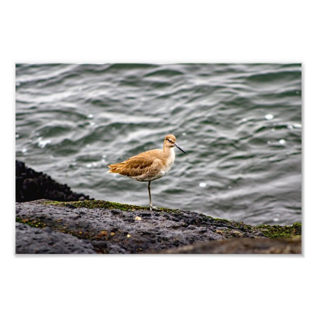 Foto Playa del Rey (Frente)