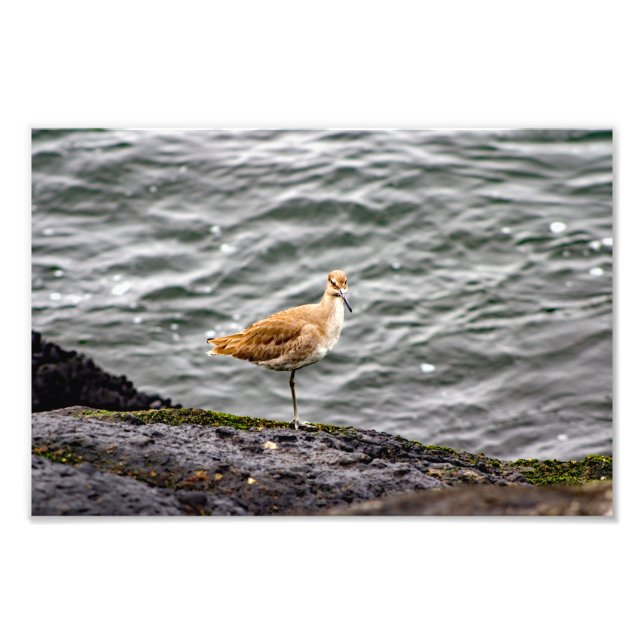 Foto Playa del Rey (Frente)