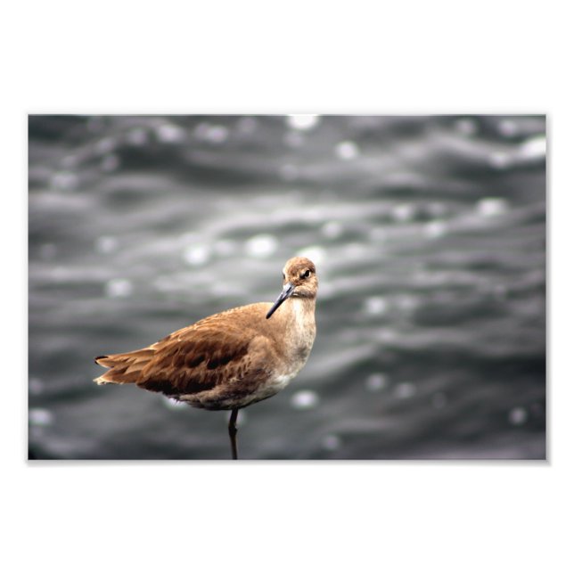 Foto Playa del Rey (Frente)