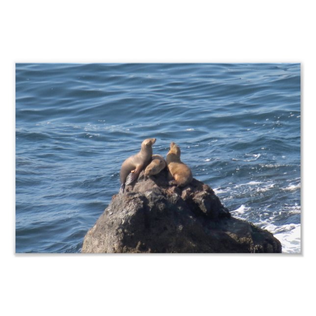 Foto Playa Estatal Point Dume (Frente)