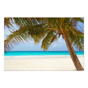 Foto Playa Paradisíaca Tropical