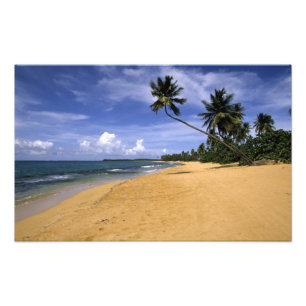 Foto Playa Puerto Rico