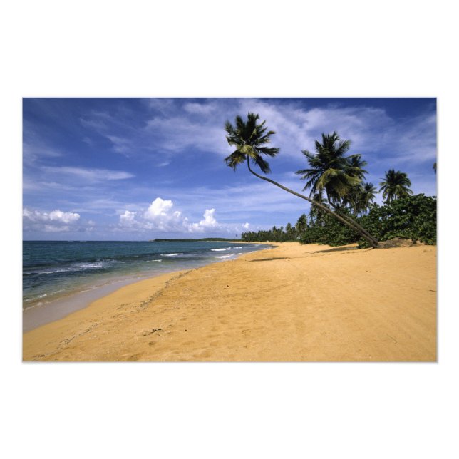 Foto Playa Puerto Rico (Frente)