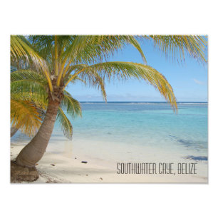 Foto Playa Tropical Belice Beach Caribe
