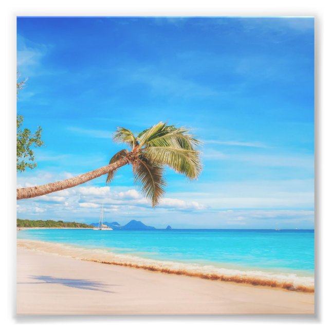 Foto Playa tropical del Caribe (Frente)