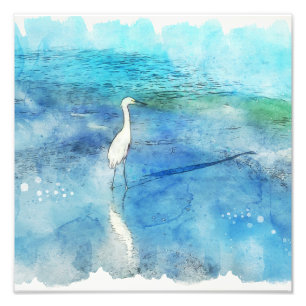 Foto Playa tropical en Verde azulado Aqua Turquoise Azu