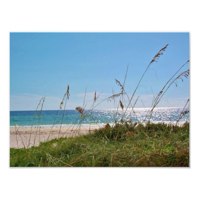 Foto Playa tropical y avena marina (Frente)