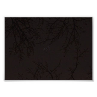 Foto Pléyades (M45)