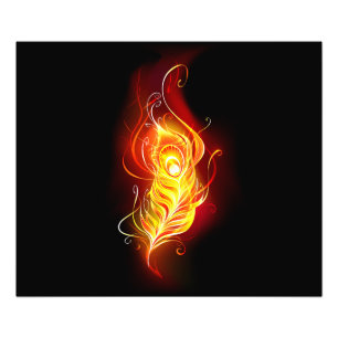 Foto Pluma de pavo real de fuego