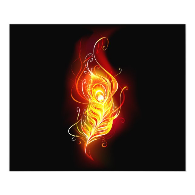 Foto Pluma de pavo real de fuego (Frente)