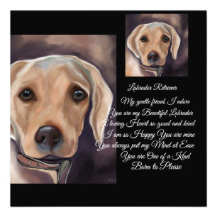 Foto Poesía del Retriever de Labrador