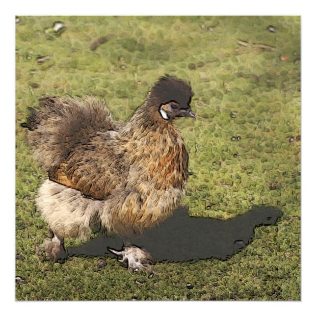Foto pollo de juguete (Frente)