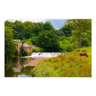 Foto Pollok Park, imagen de Glasgow