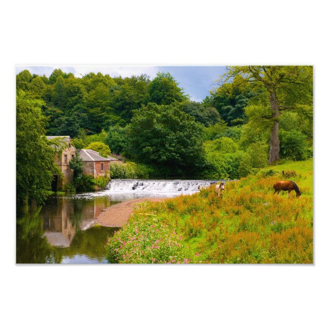 Foto Pollok Park, imagen de Glasgow (Frente)