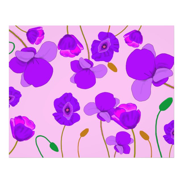 Foto Poppy (Papaver somniferum) Lilac (Frente)