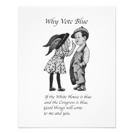 Foto Por qué votar totalmente azul en 2028