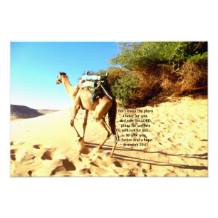 Foto Porque sé los planes que tengo......  Jeremías 2