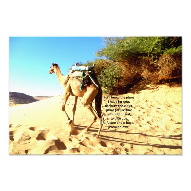Foto Porque sé los planes que tengo...... Jeremías 29:1 (Frente)