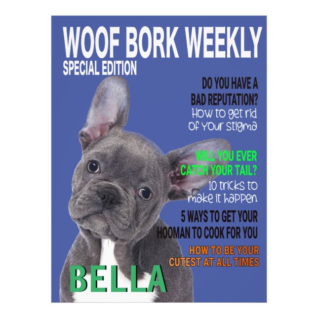 Foto Portada de la revista Boston Terrier Parody (Frente)