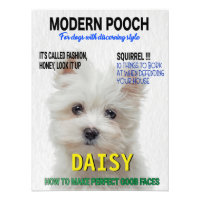 Portada de la revista Maltese Terrier