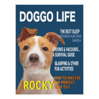 Portada de la revista Pitbull Parody