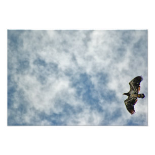 Foto Posibilidades futuras