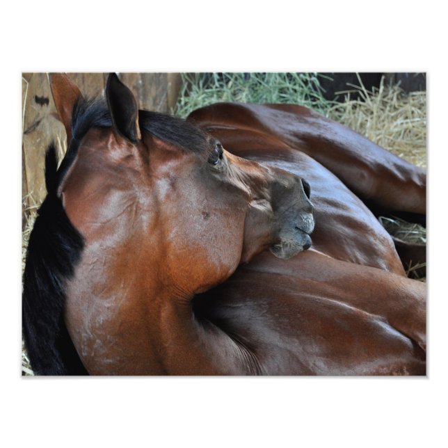 Foto Positivo Real (Frente)