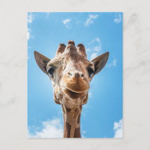 Foto postal de foto de Giraffe Face Close-up