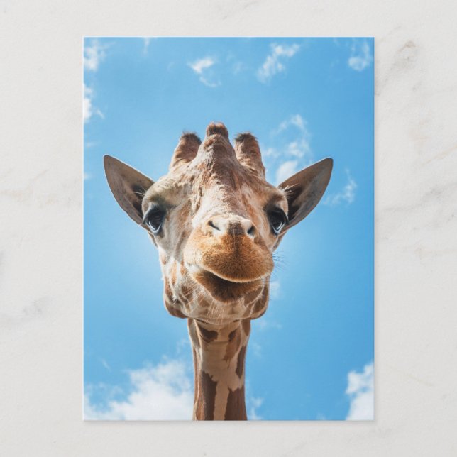 Foto postal de foto de Giraffe Face Close-up (Anverso)