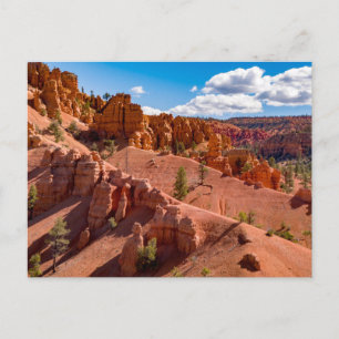 Foto postal del paisaje forestal nacional de Dixie