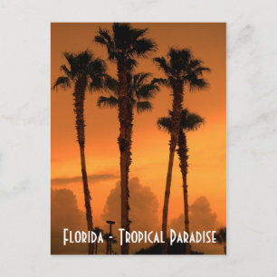 Foto postal del paraíso tropical de Florida