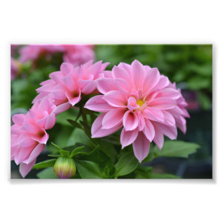 Foto Postal para ella