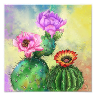 Foto Poster Cactus Flowers