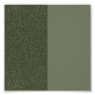 Foto Póster cuadrado texturizado verde musgo dividido (