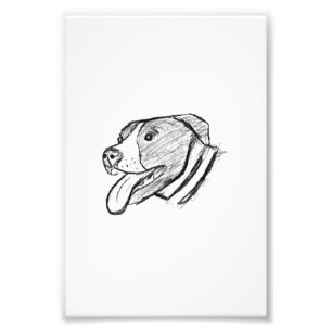 Foto póster de amante de animales perro pitbull dibujad