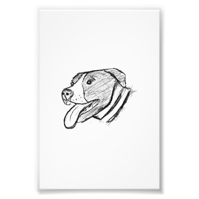 Foto póster de amante de animales perro pitbull dibujad (Frente)