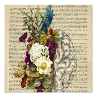 Foto poster de anatomía cerebral floral médica