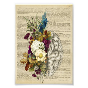 Foto póster de anatomía cerebral floral médica