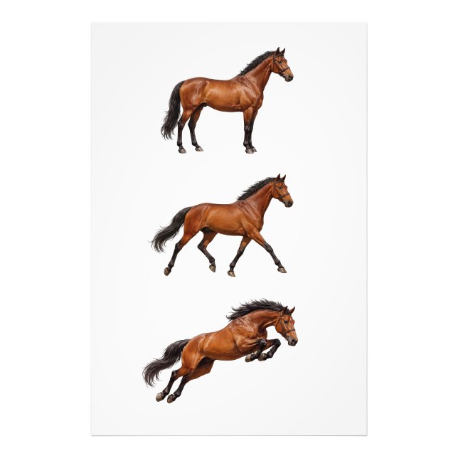 Foto Póster de Arte de Pared de Caballo Marrón Elegante (Frente)
