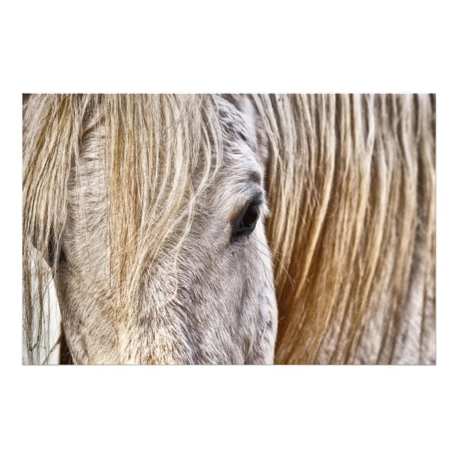 Foto poster de caballos de grano de bronceador (Frente)