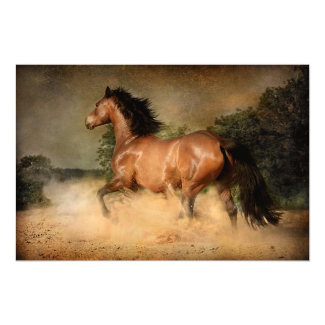 Foto poster de caballos salvajes (Frente)