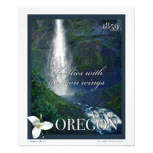 Foto Poster de Cascada de Oregon