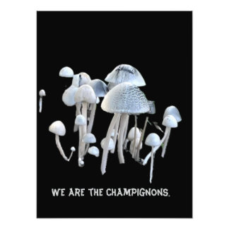 Foto Póster de champiñones