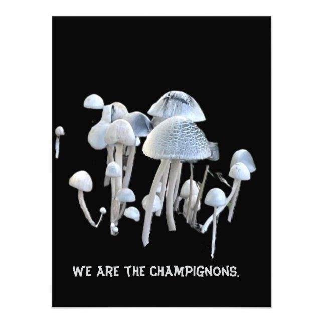 Foto Póster de champiñones (Frente)