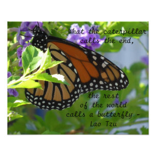 Foto Póster de cita inspiradora de la mariposa monarca