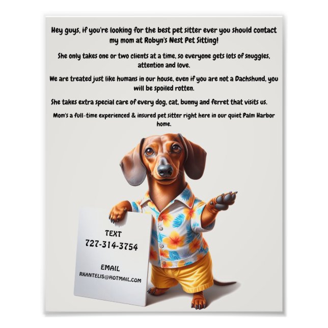 Foto Poster de Dog Sitter (Frente)