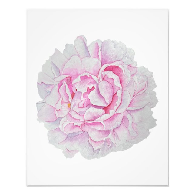 Foto Póster de Flor Acuarela Peonía Rosa (Frente)