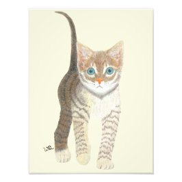 Foto Póster de Gatito Atigrado