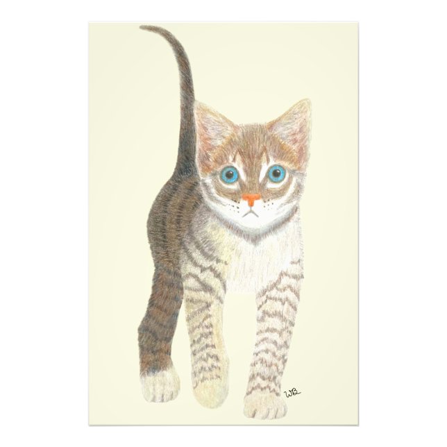 Foto Póster de Gatito Atigrado 24x36 (Frente)