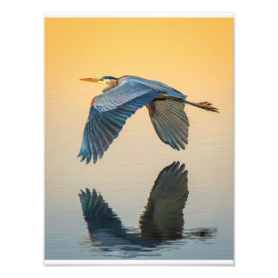 Foto Póster de Gracia Sobre Agua Tranquila